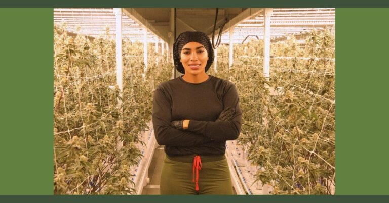 dreka gates net worth