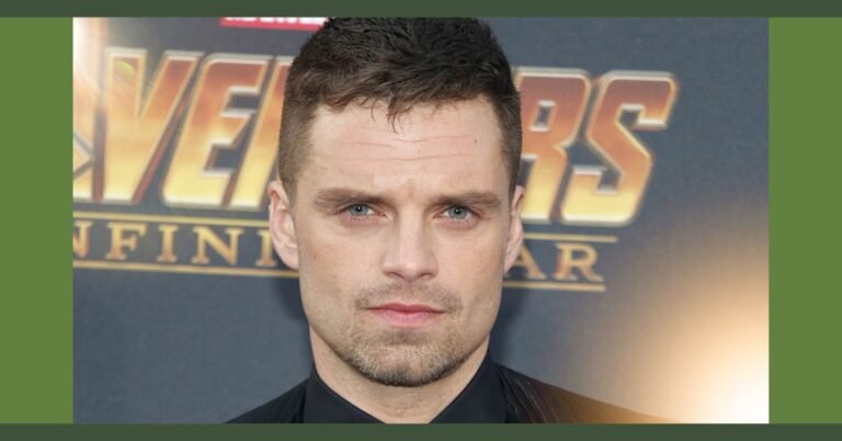 sebastian stan net worth