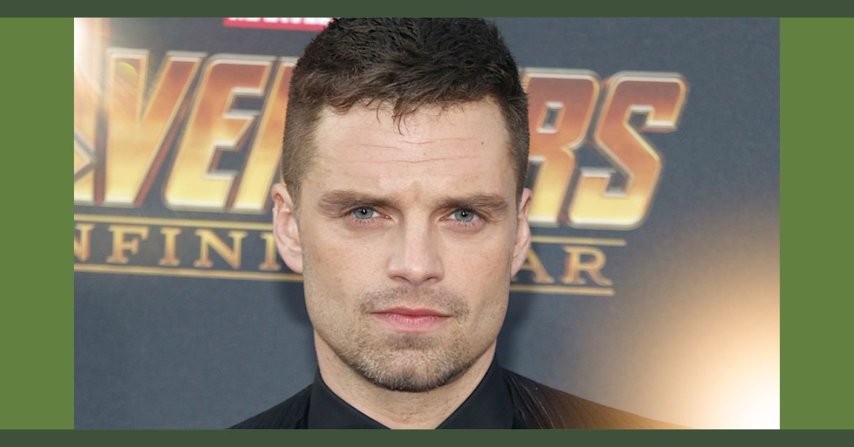 sebastian stan net worth